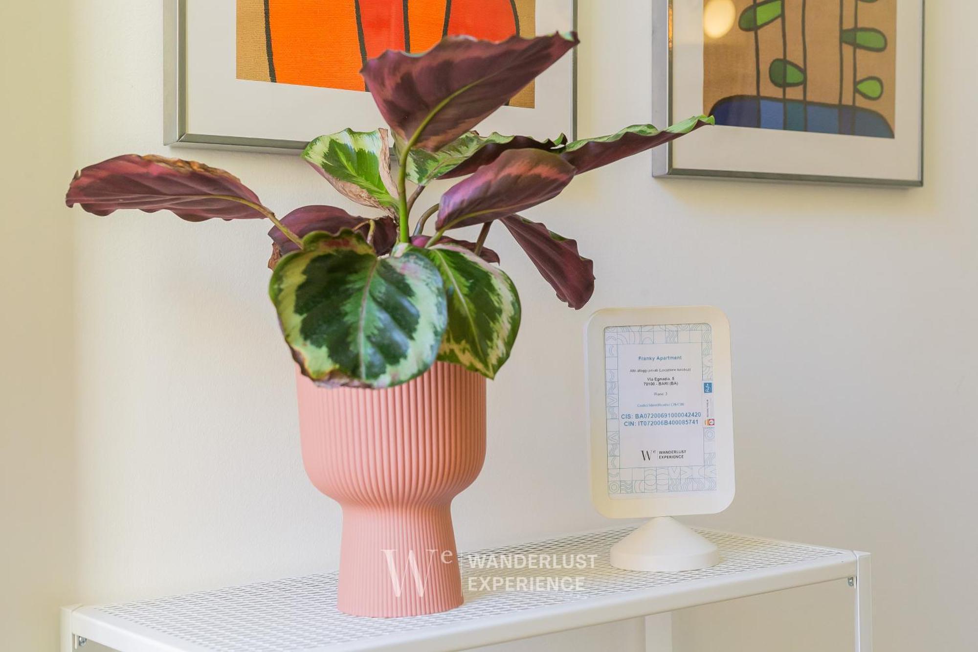 Wanderlust Experience Frankly Apartment Bari Zewnętrze zdjęcie